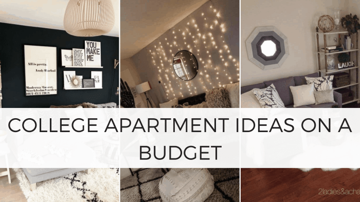 How to decorate college apartment cheap